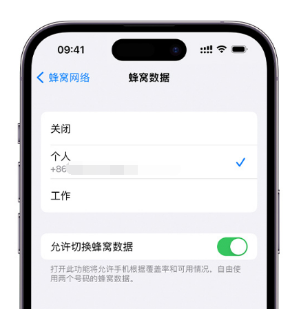 榆林苹果维修服务分享如何在iPhone上使用双卡 